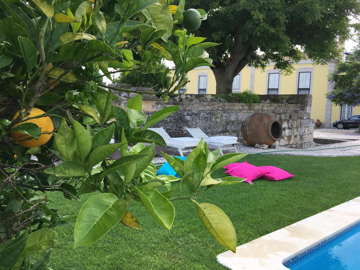 Casa Da Alcacova - Farm stay